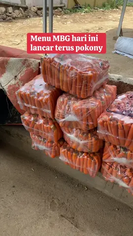 Orderan MBG hari ini#pasar #sayurbalap #petanimuda 