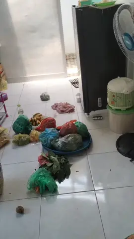 yok bang ajak adek jalan2