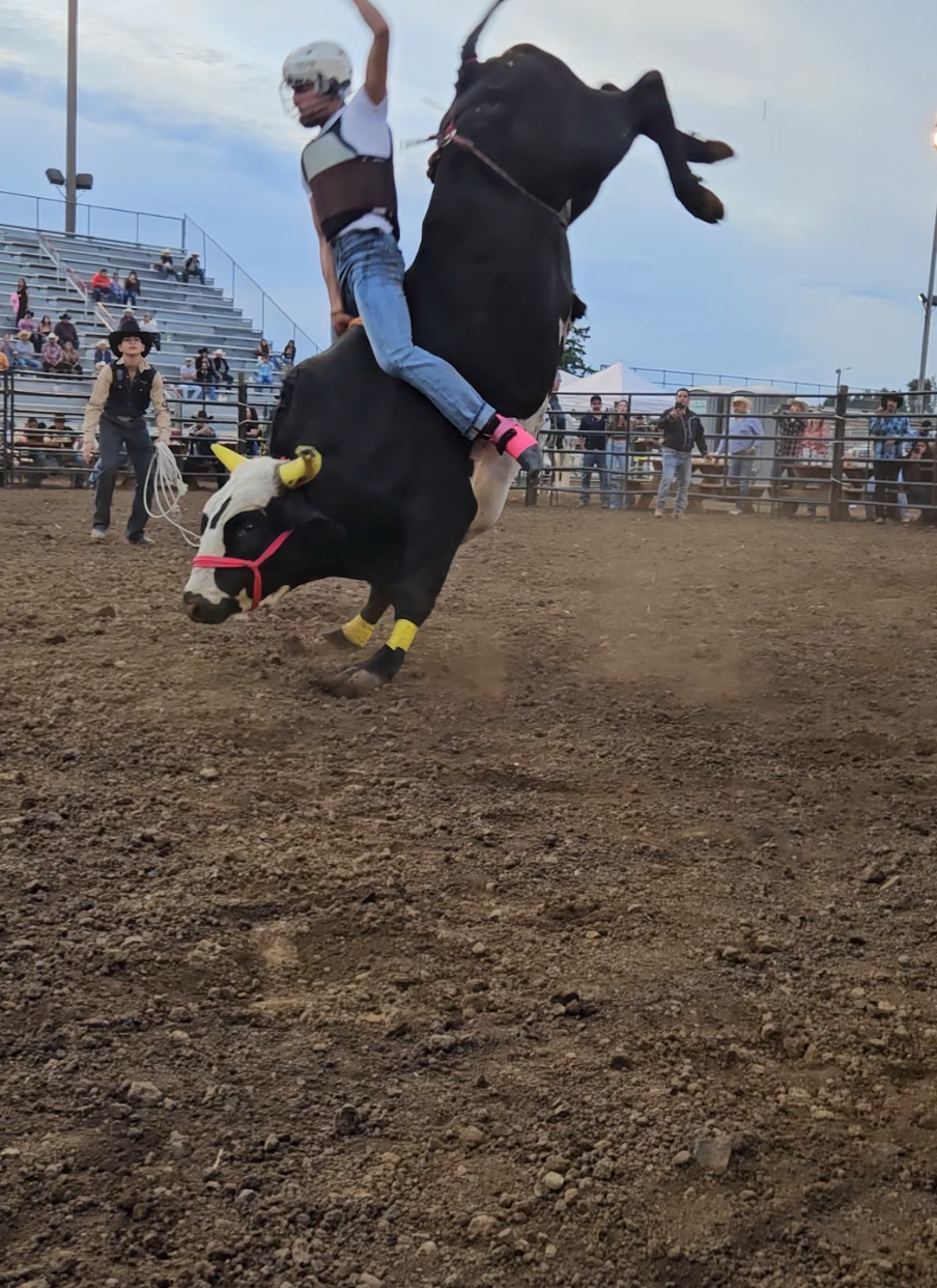 #jaripeo #parati #jaripeos #nayaritentertainment #jaripeo_ranchero 