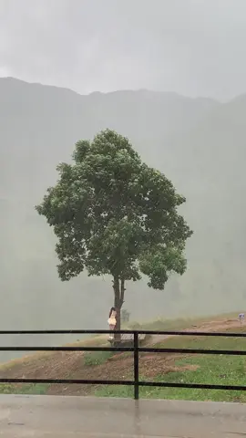 Đi thỉnh kinh gặp mưa luôn#aphurestauranttaxua #taxua #câycodon 