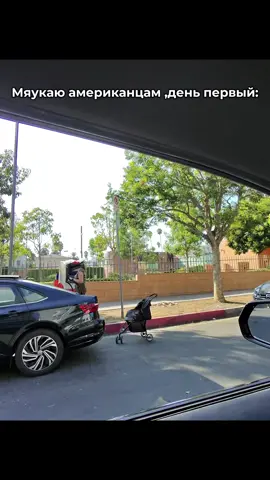 Че сделать смешного можно?)#рек #шутка #голливуд 