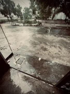 生活不总是美好的，要看到彩虹就必须接受. 