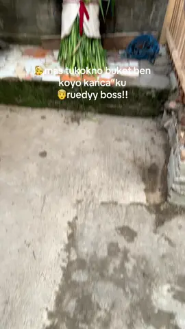 sesuai requesmu dekk🤝                    #jrabangtulungagung #jrabangsuper #blitar24jam #buketbunga 