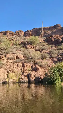 I had the best morning paddle today with friends I hadn't seen in far too long. ❤️ #paddleboard #arizona #lake #sunrise #morning 