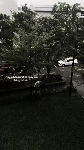 “ mưa bão ùa về là ngày em chẳng trở về…” #xuhuongtiktok #xuhuong 