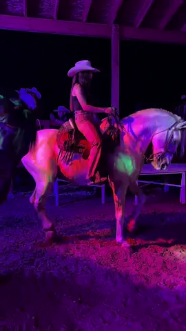 Chulada mi cuacon #mujeresacaballo #arribalasmujeres #caballosbailadores 