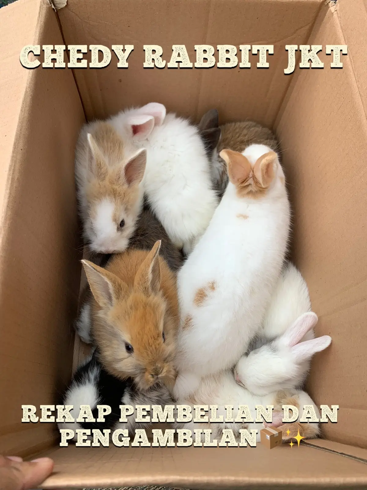 Rekap pengambilan dari kakak