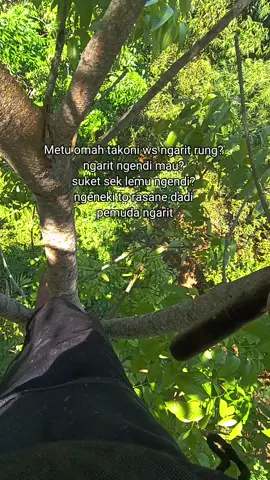 well#peternakmuda #sobatngaret #CapCut #fy 