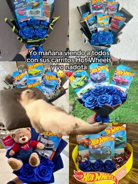 Yo viendo mañana a todos con sus Hot Wheels #30deseptiembreregalarhotwheels#septiembre #frases_jani #hotwheels #espectador 