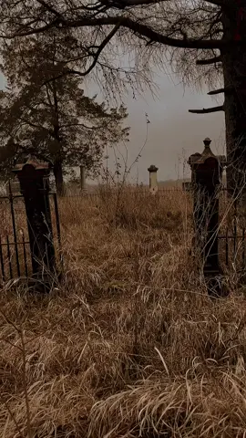 In a few years, you and I will be just dust under a tombstone. #atmospheric #nostalgia #cemetery #autumn #sad 