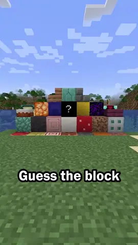 Guess the Minecraft block in 60 seconds #Minecraft #trivia