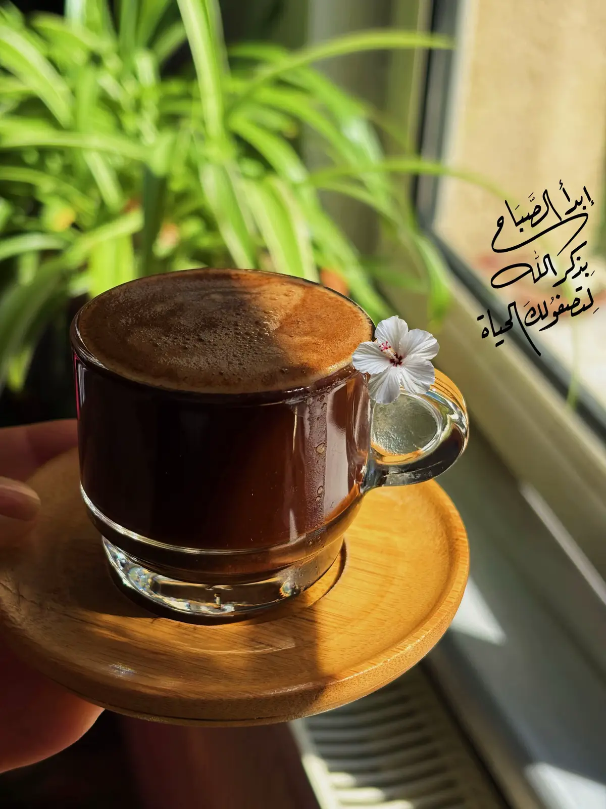 - تعلموا حُب الصباح لأنه يملك واسطة مع ساعات اليوم المتبقية، لذلك صباح الخير جداً🧺🌱#✨ #صباح #الخير 