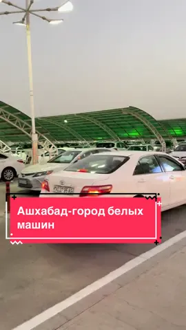 Увидеть мир 🌍 Ашхабад-город белых машин. Машин другого цвета здесь невозможно увидеть, потому что они запрещены в городе. Машины должны вписываться в интерьер города, который построен из белого мрамора и именно по этому поводу внесен в Книгу рекордов Гинесса #creatorsearchinsights #туркменистан #turkmenistan #ashgabat #cars @OlenaWorld 