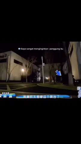 Ziyu , wǒ de xiǎo yú#revengedlove #ziyu 