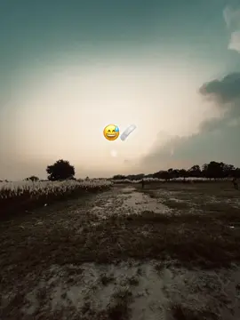 😅💔#capcut #catsoftiktok #viraltiktok #foryoupage 