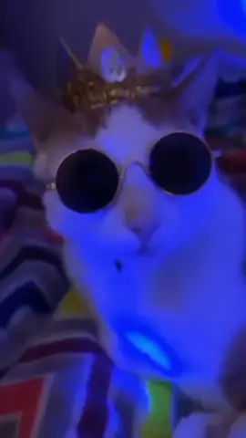 hallo c's kuu 🔥🚀