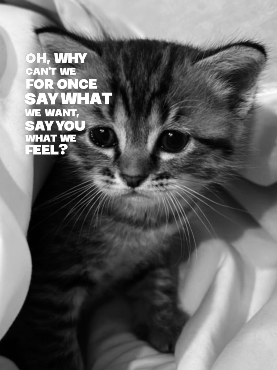 #lyrics #takeachancewithme #niki #fyp #lirik 