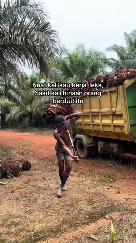 🥲🥲#fyp #kulisawit #sawit #petanisawit #fyppppppppppppppppppppppp 