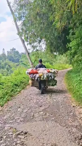 Perjuangannya sumpah keren banget 