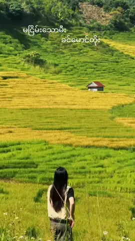 #fypage #🤗🤗🤗 #မူရင်းသီချင်းအားcrdပေးပါတယ် #မူရင်းvideoအားcrdပေးပါတယ် #fyppppppppppppppppppppppp #🤗🤗🤗 