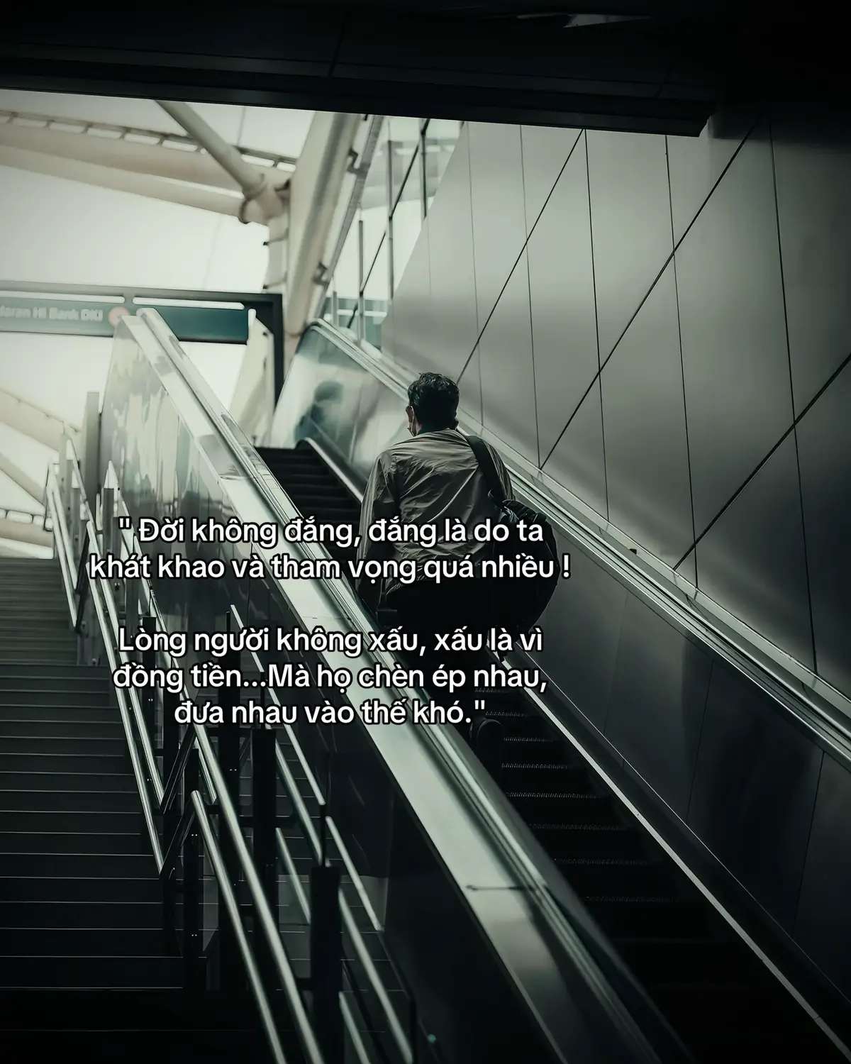 Đời không đắng, đắng là do ta khát khao và tham vọng quá nhiều ! Lòng người không xấu, xấu là vì đồng tiền...Mà họ chèn ép nhau, đưa nhau vào thế khó. #cuocsong #vrial #dtg1208 