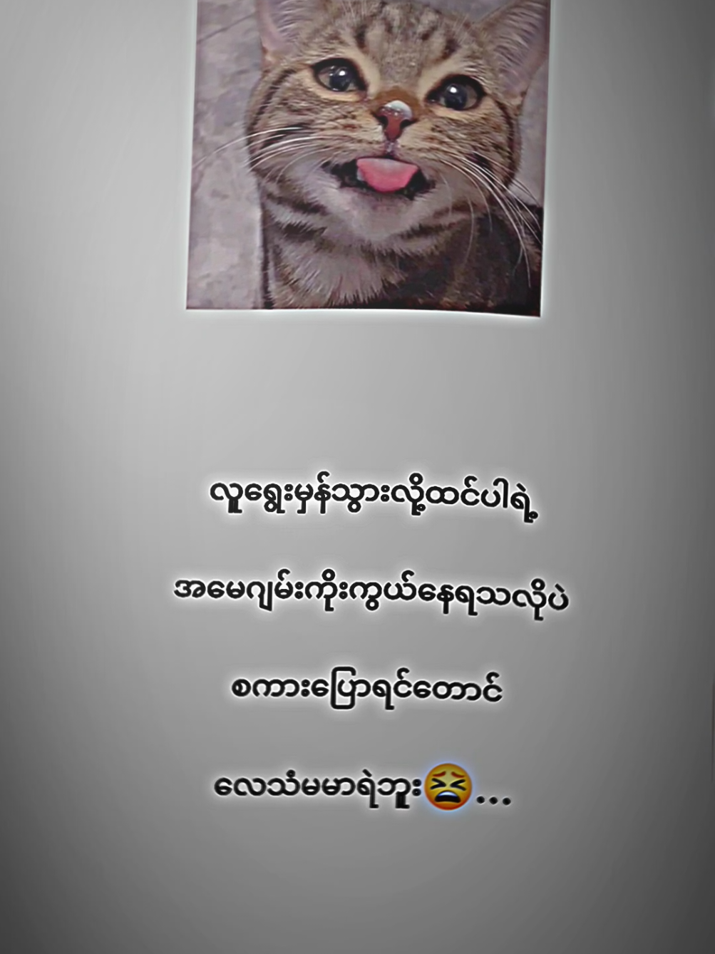 @ခေါ်ကြကွာရှိရင် #ချစ်စရာကောင်းတာတစ်ခုပြမယ်🥺🎀 #fyppppppppppppppppppp #ရောက်ချင်တဲ့နေရာရောက်👌 
