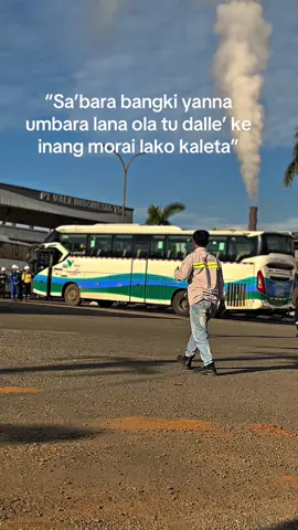 #duniatambang #storytambang🦺⛑️⛰️👷🏿‍♂️🛠️ #anaktambangpunyacerita😎 #operatormuda #pejuangrupiah 