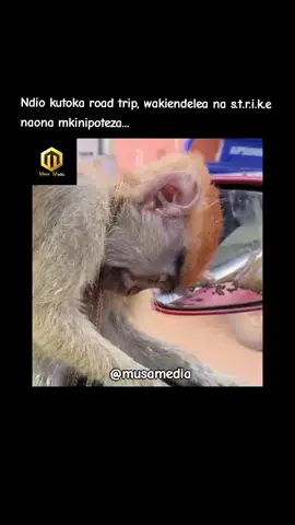 #musamedia #kenyattauniversitytiktok #funnymemes #memestiktok #fyp 