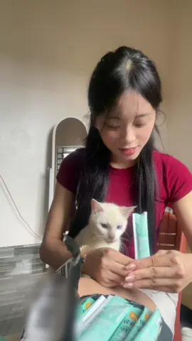 tiếng chúng nó đòi ăn vangg cả nhà=))))