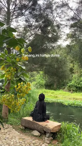 kemana arah angin akan membawa kabar baik,kuharap dia menjumpaiku🍃🕊️