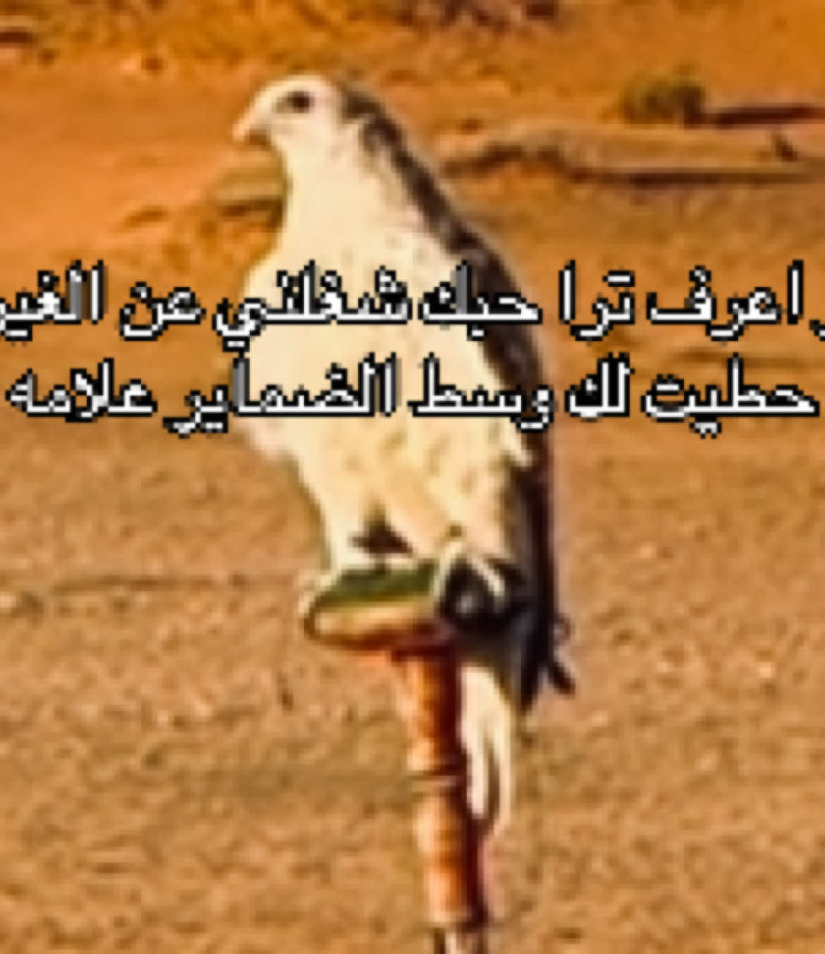 #fyp #explore #4u #fy 