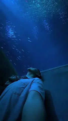 Monterey Bay Aquarium, thank you for your service.
