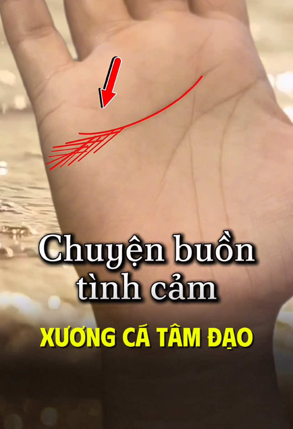Chuyện buồn tình cảm - Xương cá tâm đạo #coutxemtay #coutgemini 
