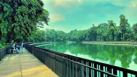 Romna park View 📍 . #foryou #tiktok #romnapark #prokiti #foryoupage 