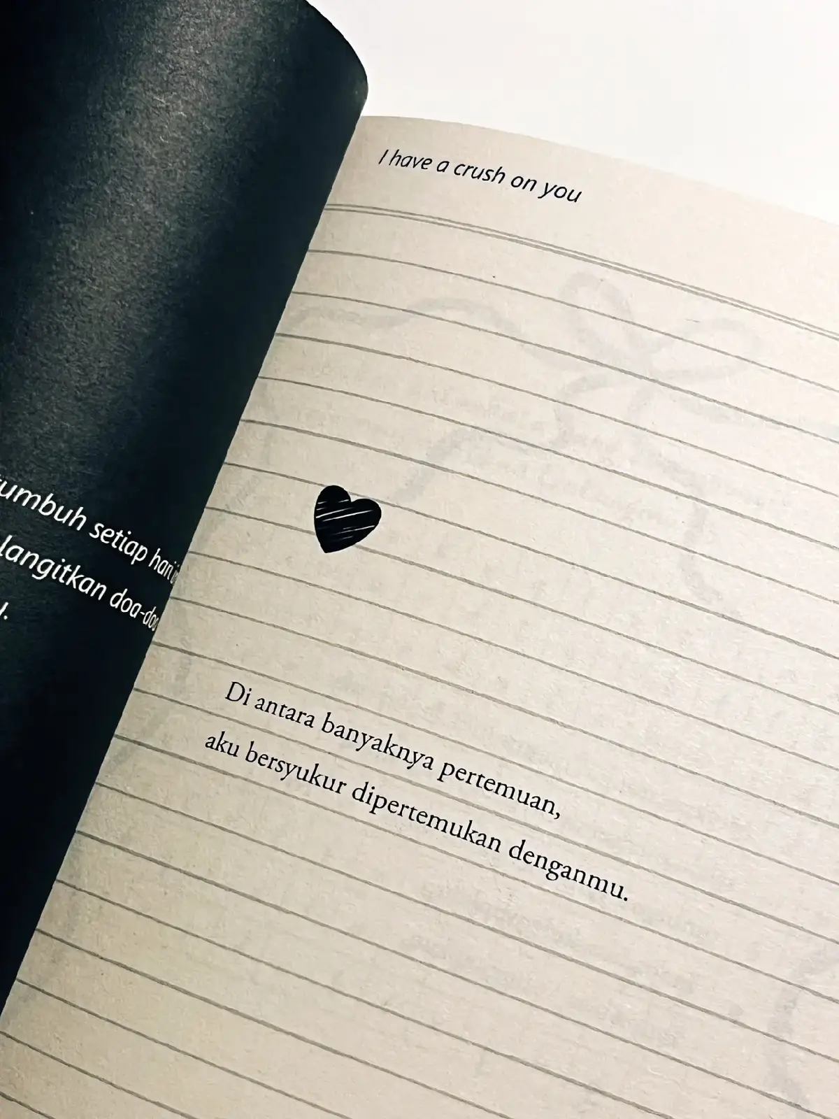 #fypシ #books #bookish #BookTok #ihaveacrushonyou 