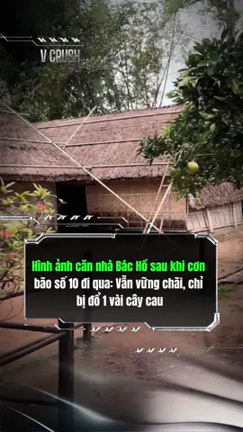 #vcrush #tiktokgiaitri #thientaibaolu #baobualoi #chutichhochiminh 