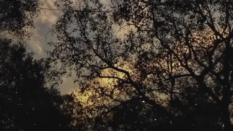 #ترنيمه_متياس_لما_زمان_صلالك 🥹🙏🏻🤍 #محتوي_مسيحي✝️❤️ #الكنيسه_القبطيه_الارثوذوكسيه❤️✝️💒 #لايكات #لايكات_الاكسبلور_متابعه 