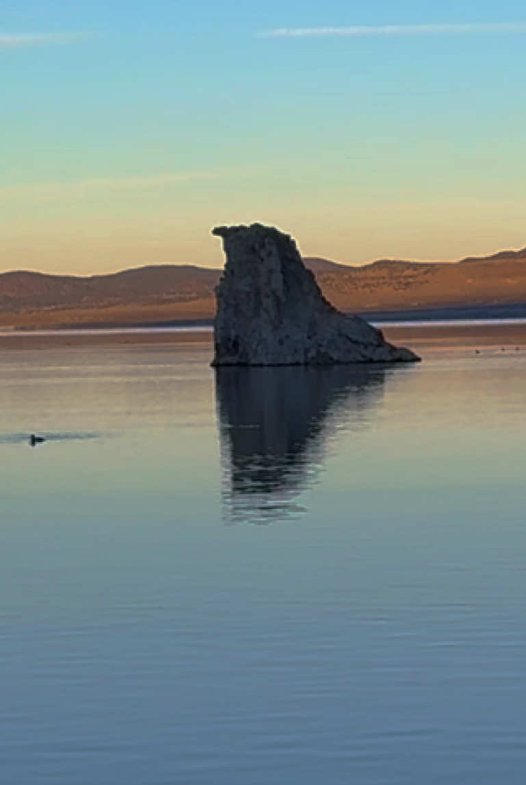 Mono Lake Tufa State Natural Reserve.  📍 US-395, Lee Vining, CA 93541.   Reserva que protege las torres pintorescas de piedra caliza del lago, humedales y hábitats de aves.  #viajando_ala_naturaleza #monolake #monolaketufa #leevining #travel 