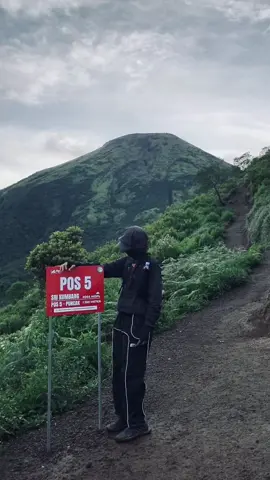kangen kembang🥹 #fyp #mtkembang2340mdpl #mountain #pendakiindonesia 