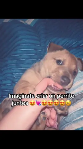 #fyppppppppppppppppppppppp #paratii #viral #fyp #tiktok 