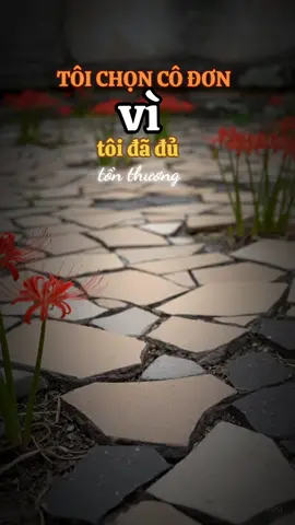 Tôi chọn cô đơn vì đã đủ tổn thương #codon #trietlycuocsong 