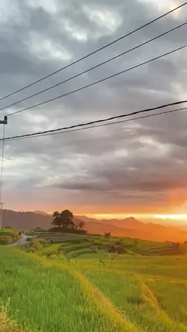 keinget 2020#dirumahaja #vibes2020 #fyp #foryoupage #ohasmarayangterindah 