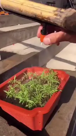 Bộ Tưới Cây Bán Tự Động 💦🌱❤️