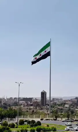 #سوريا#دمشق #علم#سوريا#الحره 