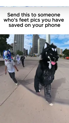 Had to have been the wind 