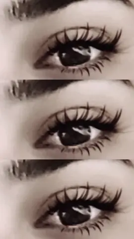 #انا احبك يا ملعون 😂😂 #😂😂😂 