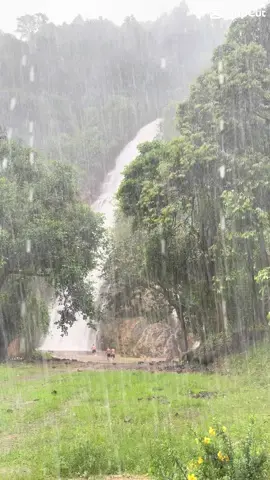 Thác Triệu Hải ngày mưa #mưa #thactrieuhai #dakal #roadtrip 