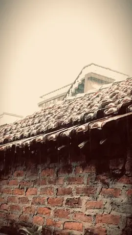 Ai cũng có ngày xưa | Phan Mạnh Quỳnh #nhacquynh