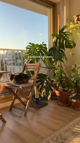 on en oublierait presque d’aller travailler ⭐️ #Home #housetour 