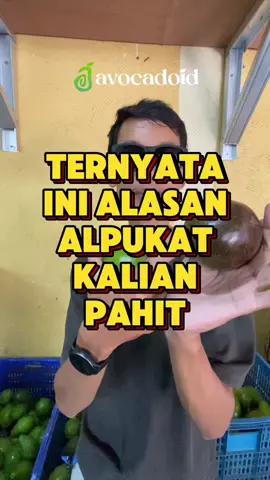 TERNYATA INI PENYEBAB ALPUKAT KALIAN PAHIT‼️ Sering beli alpukat ga enak? Pahit? Ternyata penyebab nya bukan karna muda, tapi SIMAK VIDEO INI‼️ #avocadoid #alpukat #mentega #pahit #edukasi
